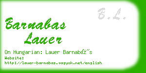 barnabas lauer business card